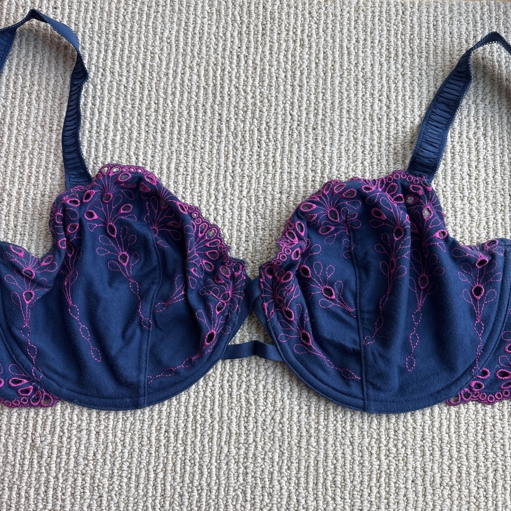 Paramour Felina Playful Eyelet Demi Bra 42D Blue Mesh Lace UW Lingerie 115063